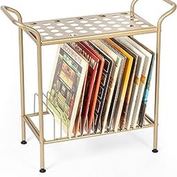 25034 Record Player Stand with Vinyl Record Storage, Gold Metal Table with Shelves for Records, 2-Tier Record Storage, Vinyl Record Holder, Record Player Table Golden-image-83