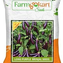 Farmgokart | 10 Grams - Brinjal Black Long - F1 HYBRID | for Open Farming and Poly House Farming |Appx Seed Count : 2000 Nos-image-42