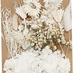 MYADDICTION 1Bag Dried Flowers Dry for DIY Scrapbooking Crafts Resin Craft Jewelry White Crafts | Home Arts & Crafts | Floral Crafts | Dried Botanicals & Potpourri | Dried Flowers-image-36