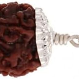 BluDiamond 4 Face Rudraksha Brown Char Mukhi Rudraksha Original Certified 4 मुखी रुद्राक्ष Nepali Brown Bead 4 Mukhi Rudraksha चार मुखी रुद्राक्ष ओरिजनल Four Face Rudraksha Silver Pendant-picture-10