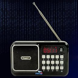 MM TOYS Gurbani Player Mini with Nitnem, Sukhmani Sahib, USB Support, Expandable Memory, Rechargeable Battery | Waheguru Simran Speaker Radio-27