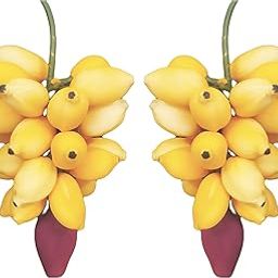 ZENRISE® Banana Decoration Hanging Handicraft for Home Temple puja pongal Festivals, 2 Banana Bunches, Yellow-image-19