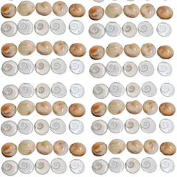 Saptraag Original & Authentic Gomati Chakra (108 Pcs, 1cm) | Energized for Lakshmi Puja, Vastu, Prosperity & Home Protection | Spiritual Benefits | Ideal for Home & Office | Small Gomti-23