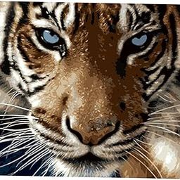 Club Bollywood®DIY Acrylic Painting by Number Kit On Canvas Artwork Painting Picture -Tiger|Crafts | Art Supplies | Painting Supplies |1 Piece Pre-Printed Linen Canvas(Wood Frame Not Included)-image-33