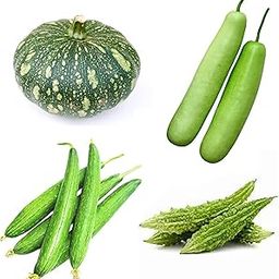 Combo Organic Seeds, Pack of 4 Vegetables, Green Pumpkin (Kaddu), Bottle gourd (Lauki), Sponge gourd(Turai) and Bitter gourd (Karela)-image-41
