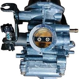 Royal Carburetor Assembly For Discover 125-5