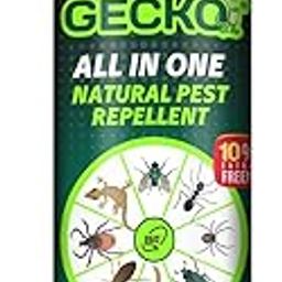 All-in-One Herbal Insect Repellent Spray | Natural Pest Control for Lizards, Ants, Termites, Bed Bugs, Spiders, Flies, Centipedes & Mice | 100% Plant-Based Formula | 120ml | FORMULATION 30X-14