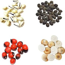 Yelook Rakt Gunja, Goamti Chakra, Kamal Gatta, Kodi - 11 Pieces for Pooja, Laxmi Pooja, Puja, Diwali Pooja-image-12
