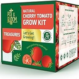 Pot and Bloom Gardening Kit - Treasures Cherry Tomato Kit. Perfect for Home Garden, Includes - Seeds, Cocopeat Pot, Potting Mix,Starter Kit for Home Garden, Best Birthday, Return Gift-image-77