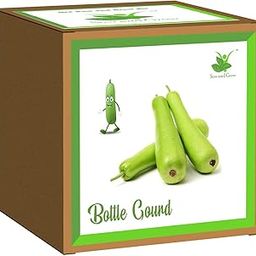 Sow and Grow DIY Gardening Kit of Bottle Gourd/Ghiya for Home and Garden Grow it Yourself Kit | Best Eco Friendly Kids Birthday Return Gift-image-53