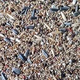 Birds Feed, Seed Mix of 9 Grains & Nuts, Enriched with Spirulina & Cuttlefish Bone, for Cockatiels 450 Gram-image-42