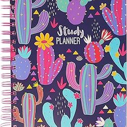 Doodle Study Planner for 6 Months I Hard Bound I 240 Ruled Pages I B5 Planner + 4 Sticker sheets + Theme Based Activity Pages I 90 GSM I Student Academic Organizer (Thinking Thorns)-21