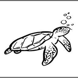 Simply Inked New Sea Turtle Tattoo - Semi Permanent, Designer Semi-Permanent Tattoo for Girls Boys Men Women waterproof Sticker Size: 2 x 2 inch l Blue Black l 2g-27