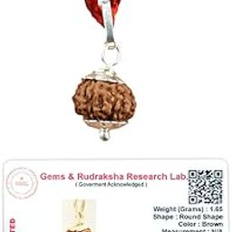 Certified 8 Mukhi Rudraksha Eight Faced Rudraksha Pendant Original Rudraksha Locket (Color : Brown)-image-35