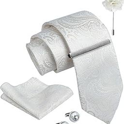 Tie for Men – Striped Silk Neck Ties Set with Cufflinks Flower Pin, Pocket Square & Black Gift Box, Combo Necktie Sets for Office Wear, Formal Suits & Weddings (Pure White, NXPLX_130)-image-2