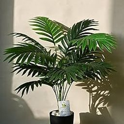 Blooming Floret Artificial Areca Palm for Home Decor/Office Decor/Gifting | 58.4 cm Short Ornamental Plant | 12 Leaves | with Basic Black Pot | Natural Looking Indoor Plant Plastic-17