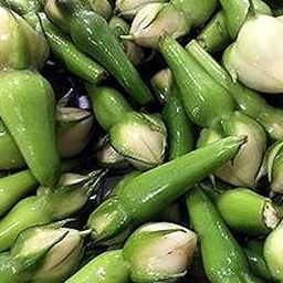 SS Naturals- Clove Beans, Ipomoea Muricata, Nithya Vazhuthana, Mookuthi avarai, Rarest vegitable Seed- 25 Seeds For Growing-image-68