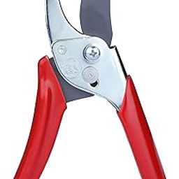 WOLF Garten 7223000 Bypass Anvil Secateur,Cutting Performance Upto 19 Mm,Ideal for Precise Pruning&Gardening Purposes-image-46