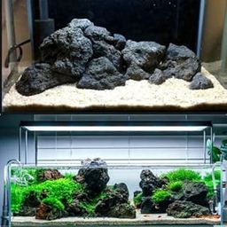 VAYINATO® Black Lava Rock for Aquarium Hardscape | High Pores | Light Weight | 5Kg by Petzlifeworld-image-55
