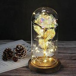 Silk Rose Flower Preserved Plastic Beauty Red Roses Flowers in Glass Dome on Wooden Base, Gift for Valentine's Day, Mother's Day, Christmas, Birthday, Anniversary(Pack of 1) Multicolour-image-40