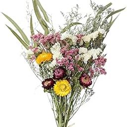 ARTISOUL® Natural Dried Flower Floral Crafts for Home Wedding Party Sun Flower | Home Decor | Floral Decor-image-33