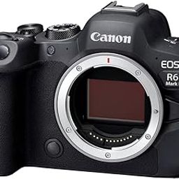 Canon EOS R6 Mark II 24.2 MP Mirrorless Camera-Body Only with 128GB V90 Memory Card(Black)-picture-14