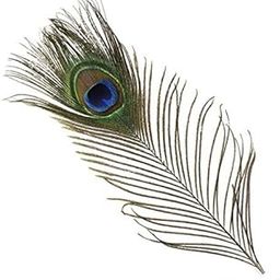 Peacock PANKH Pack of 5-image-2