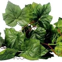 BNF® 5xReptile Terrarium Grapes Ivy Vines Vivarium Ornament Artificial Plant Decor|Pet Supplies | Reptile Supplies|As per Description-image-60