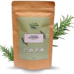Vriksha Veda Pahadi Rosemary Leaves for Hair Growth | 100% Natural Shade Dried | Pack of 1 (50gm)-image-15