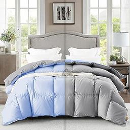 ALISHIBA CASA Reversible 600 GSM Heavy Winter Comforter Double Bed Size (90"X100") - Super Soft Fluffy 600 GSM Fill for Winter Comforter/Rajai/Duvet/Blanket Double Bed - Sky Blue/Silver Grey Color-picture-2