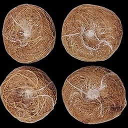 Spicado Traders (Khus) Ramacham Root Stress Relief Natural Body Coolant Natural Fragrance Organic Body Bathing Scrubber - Pack of 4-image-13