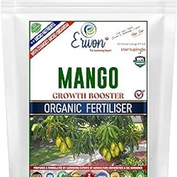 Mango Growth Booster, Premium Essential Powerful Organic Fertilizer For Overall Growth Of Mango Plants, With Charged Micro-Organism And ++ Micronutrients (200 Gm), Powder-83
