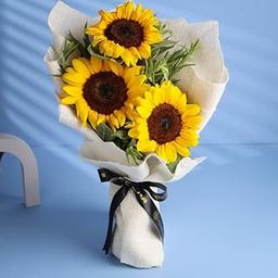 FlowerAura Premium Fresh Live Flower Bouquet of 3 Sunflowers For Birthday Gift, Anniversary Gift, Wedding Gift, Mother's Day Gift, Love & Romance Gift, Father's Day Gift (Same Day Delivery)-image-75