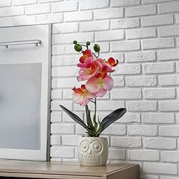Decor & More - Artificial Orchid Flowers for Decoration with White Ceramic Pot | 27 cm Artificial Flowers with Pot | Phalaenopsis Flower for Vase | Realistic Flower for Home, Bedroom, Office-image-12