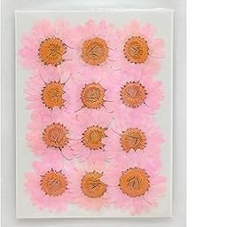 Zarwani 12pcs Natural Dried Daisy Flower Pressed Flower for Jewelry Making, Phone case Decoration (Pink)-image-87
