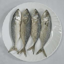 AL Haqq Mackerel Dry Fish | Ayala (அயலா) | Healthy and Tasty Dry Fish for Human Consumption (450g)-image-24