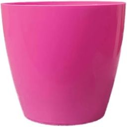 SARO Flower pots IRIS 4inch Pink - 5nos-image-27