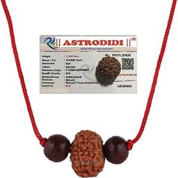 Astrodidi 7 Mukhi Rudraksha Java Indo Small Size Seven Face Rudraksha with Two Red Chandan Beads | Certified Rudraksh in Red Thread (Colour: Brown, Shape: Round)-67
