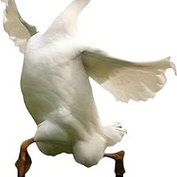 UJEAVETTE Decorative Garden Stake 2D Goose Animal Figure for Backyard Landscape Bonsai-image-82