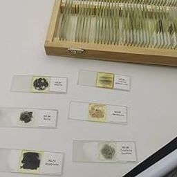 Geology Thin Section Prepared Mineral Slides Set 15 Pcs-29