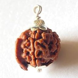 Gemstone Gallery Ganesh Mukhi Rudraksha Original Certified Auspicious Ganpati Rudraksha Brown Beads Ganesh Rudraksha Nepal Lord Shiva Rudraksha for Men & Women गणेश मुखी रुद्राक्ष ओरिजनल-picture-23