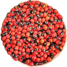 Rekhansh Natural Rakt Gunja/Chirmi/Red Gunja/lal gunja beej Seeds for Pooja (108 pc)-image-17