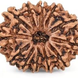 NEXG Blessed by Lord Surya 12 Mukhi Rudraksha with Free 5 Mukhi Rudraksha IGL Certified 12 मुखी रुद्राक्ष ओरिजिनल Barah Faced Rudraksh Nepali 12 Face Rudraksh for Daily Wearing Purpose-picture-47