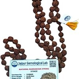 Genuine Original Rudraksha Maala | 5 Mukhi Rudraksha Original | 5 mukhi rudraksha Original Certified | Certified Maala for Men & Women with Certificate-picture-25