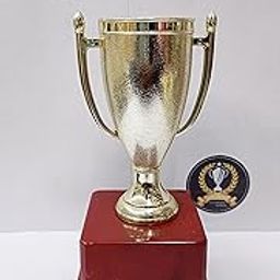 Trophy Golden Matte Finish Open Cup-picture-15