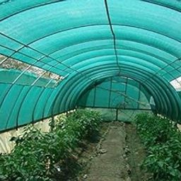 DIAMOND AMERICA Garden Shade House Shade Net/Net/Green Unique Plastic Shade (30 X 50FT 300GSM) Ecofriendly UV Stabilized Sunscreen Fabric Sun Shade 100% Sail Sun Jali with Loop Hooks NET 3050-image-58