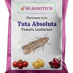 Pheromone Lure for Tomato Leaf Minor (TLM) (Tuta Absoluta) Effective Pest Control Solution" (10)-image-21