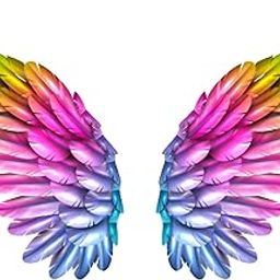 Vinyl Design Decor Multicolor Wings Sticker For Wall Sticker For Cafe & Restaurant-image-15