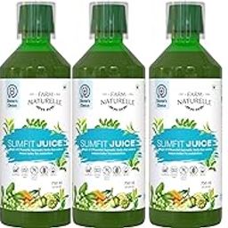 Farm Naturelle - Slimfit Juice 750ml X 4 | Weight Management | Boosts Metabolism | 60 Day's Pack-picture-27