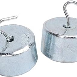 Hook Weight Set 20gx2 ±2% Accuracy Chrome Plated Steel Hooked Weight Mass Set Calibration Weights Lab Weights for Laboratory-picture-15